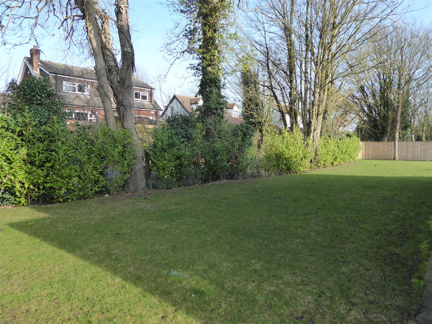 SIDE GARDEN PHOTO
